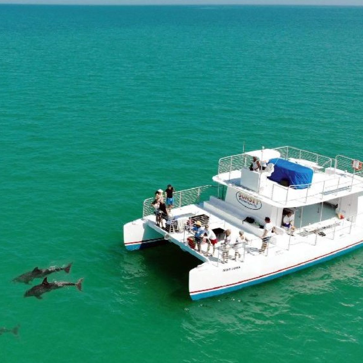 The Miss Lora Sailing with Dolphins