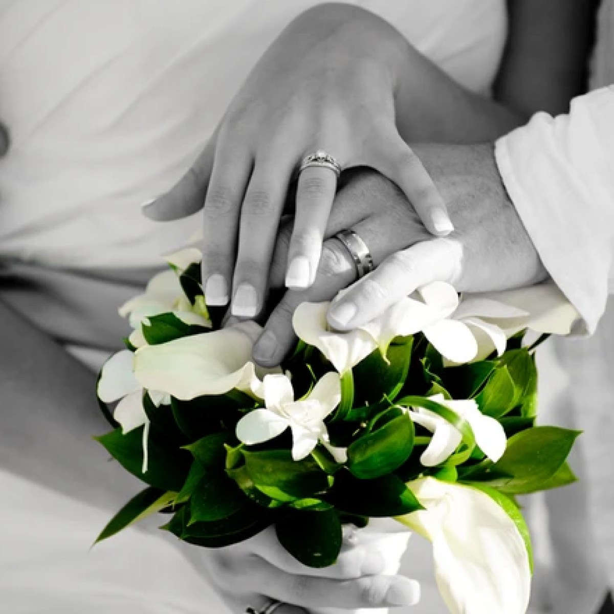 Bride and groom showing their wedding rings